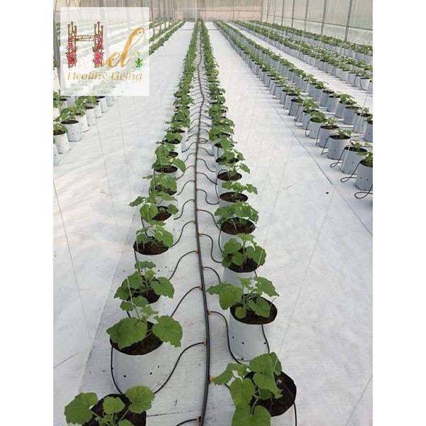 Túi Ươm Cây 2 Da, Túi Nilon Trồng Dưa Lưới, Dưa Leo, Dưa Lê, Cà Chua, Cà Rốt 20x40cm - 16 cái - 0.5Kg