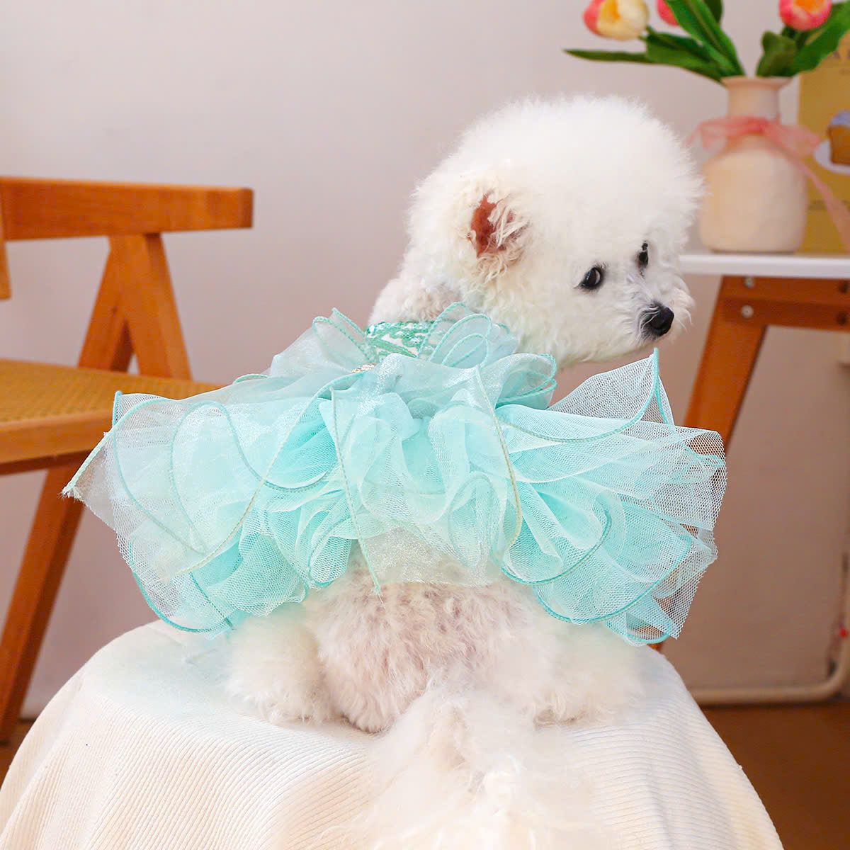 VÁY KIM SA XOÈ SIÊU XINH TỪ 0.5-9KG  DÀNH CHO THÚ CƯNG CHÓ MÈO