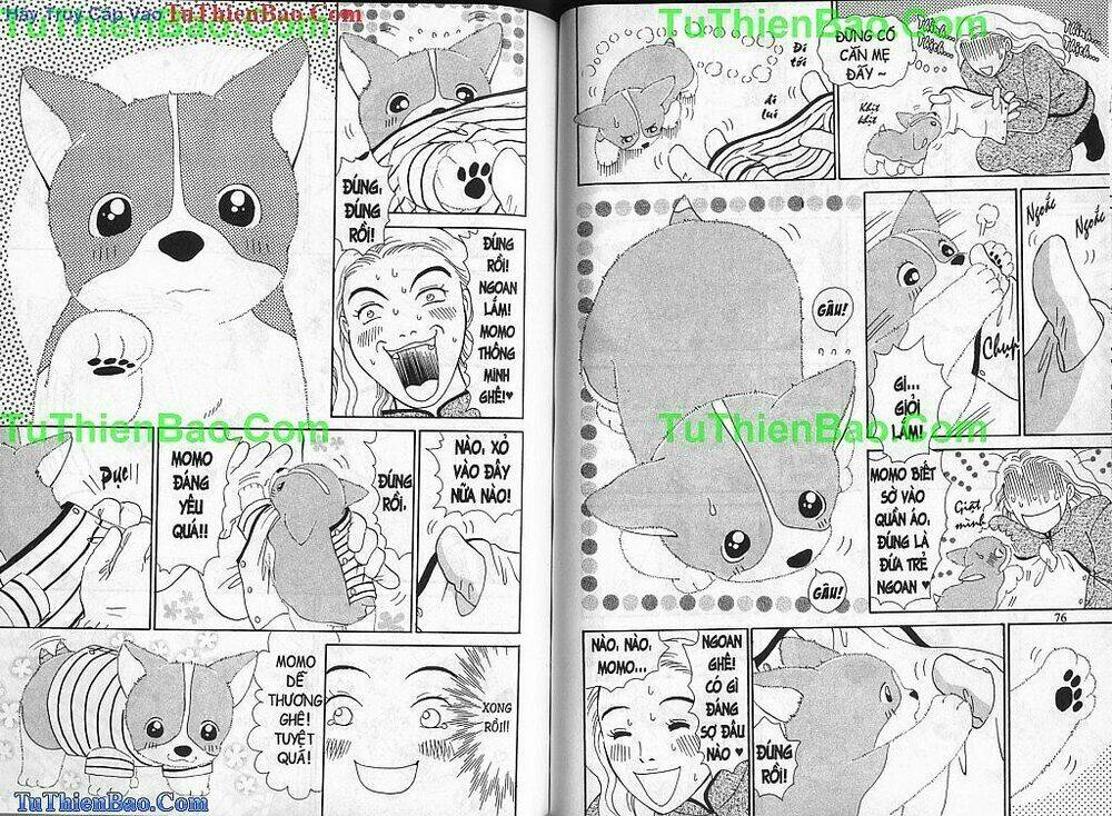 chó con mo mo chapter 1 39
