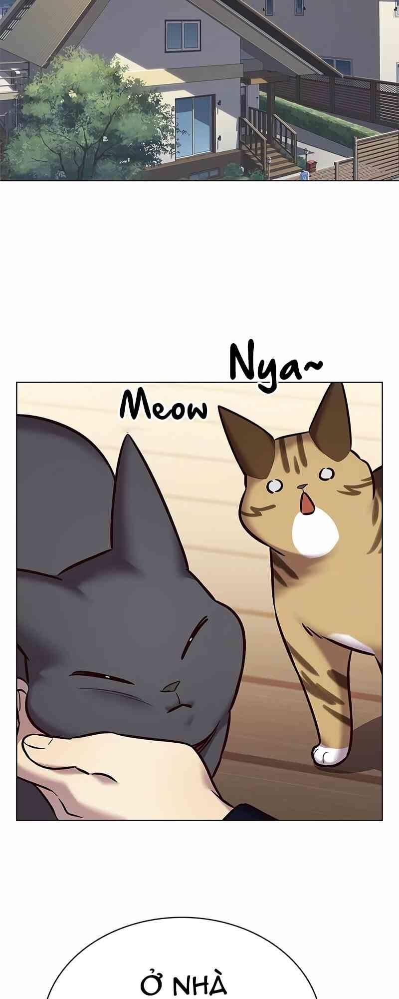 biến thân thành mèo chapter 244 41