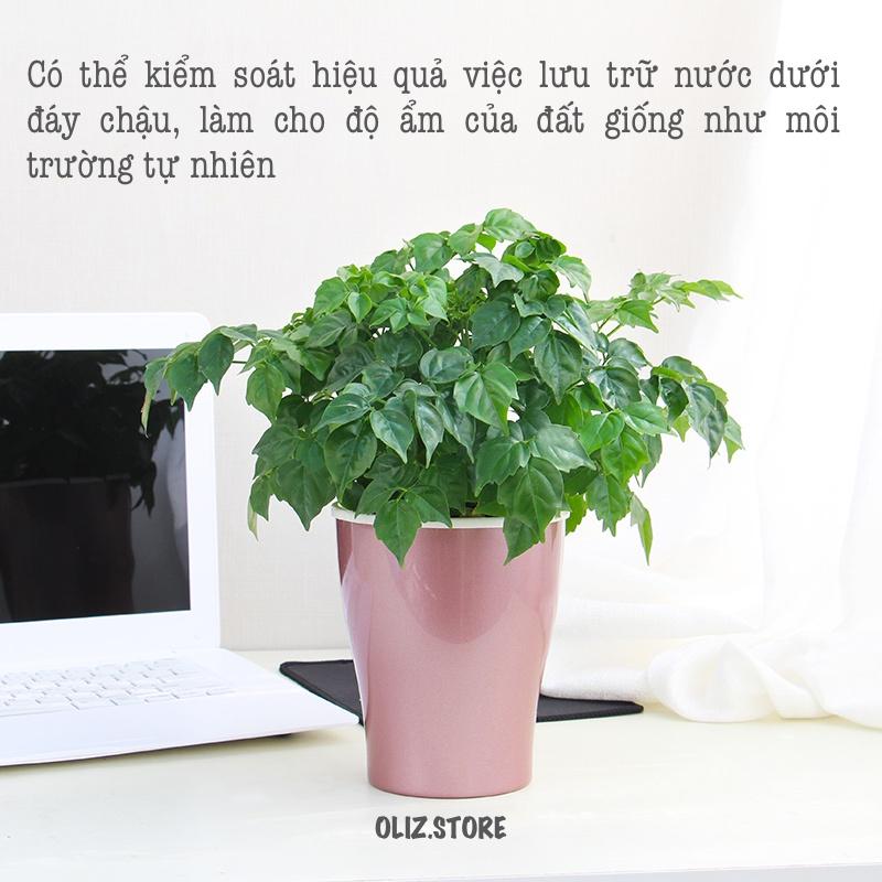 Chậu cây để bàn Oliz W0 - Chậu trồng cây tự tưới nước cho cây. Dùng trang trí nhà cửa, bàn làm việc