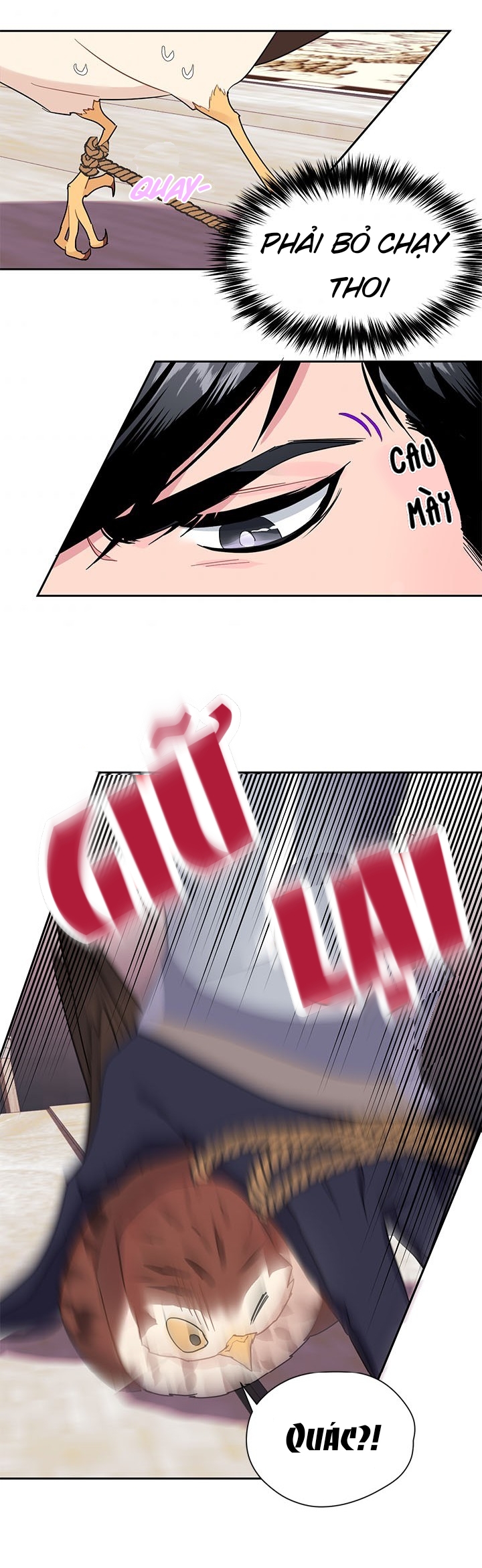 công chúa của loài chim chapter 9 23