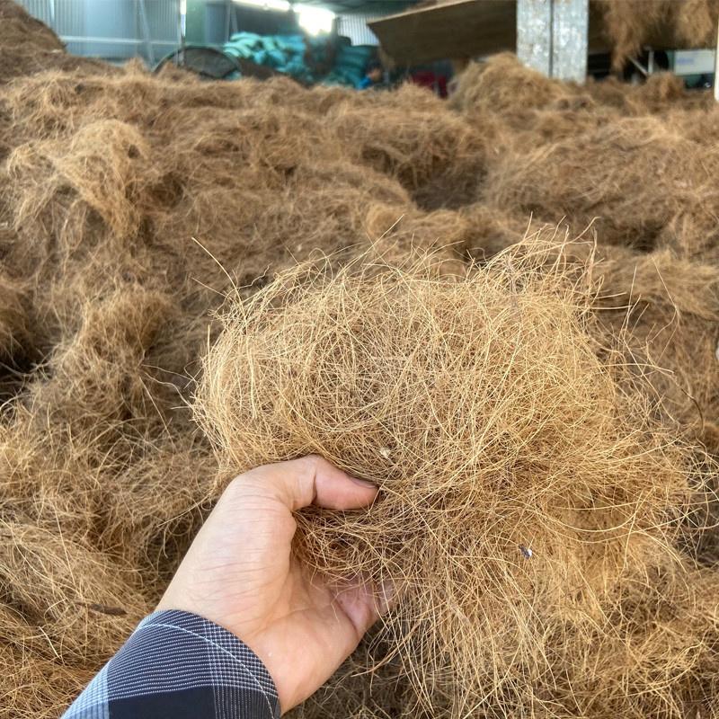 200g Chỉ Dừa Giá Thể Trồng Lan - Giá Thể Sạch