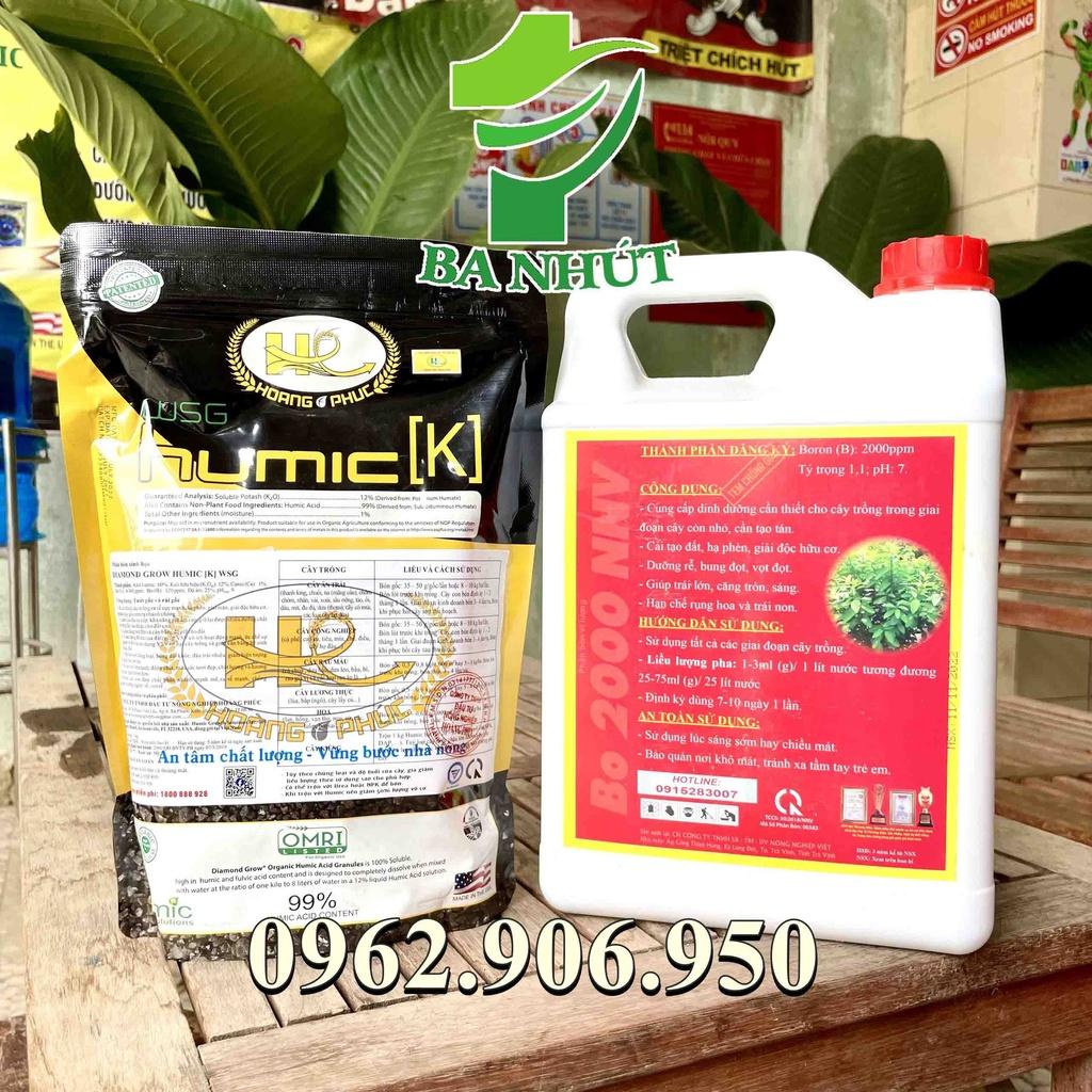 Combo HUMIC MỸ 1kg (dạng miểng) Và HUMIC RICH RONG BIỂN 5 Lít– Dưỡng Cây Khỏe, Ra Rễ Cực Nhanh, Đâm Chồi Mạnh