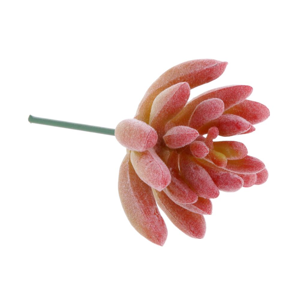 Artificial Mini Plant Flower Succulent Lotus Grass Garden Landscape #1 Red