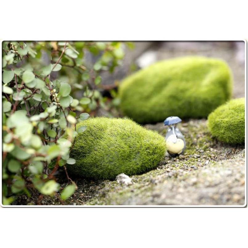 Mẫu mô hình rêu trang trí nhà búp bê, tiểu cảnh, terrarium, bonsai(REU-01)