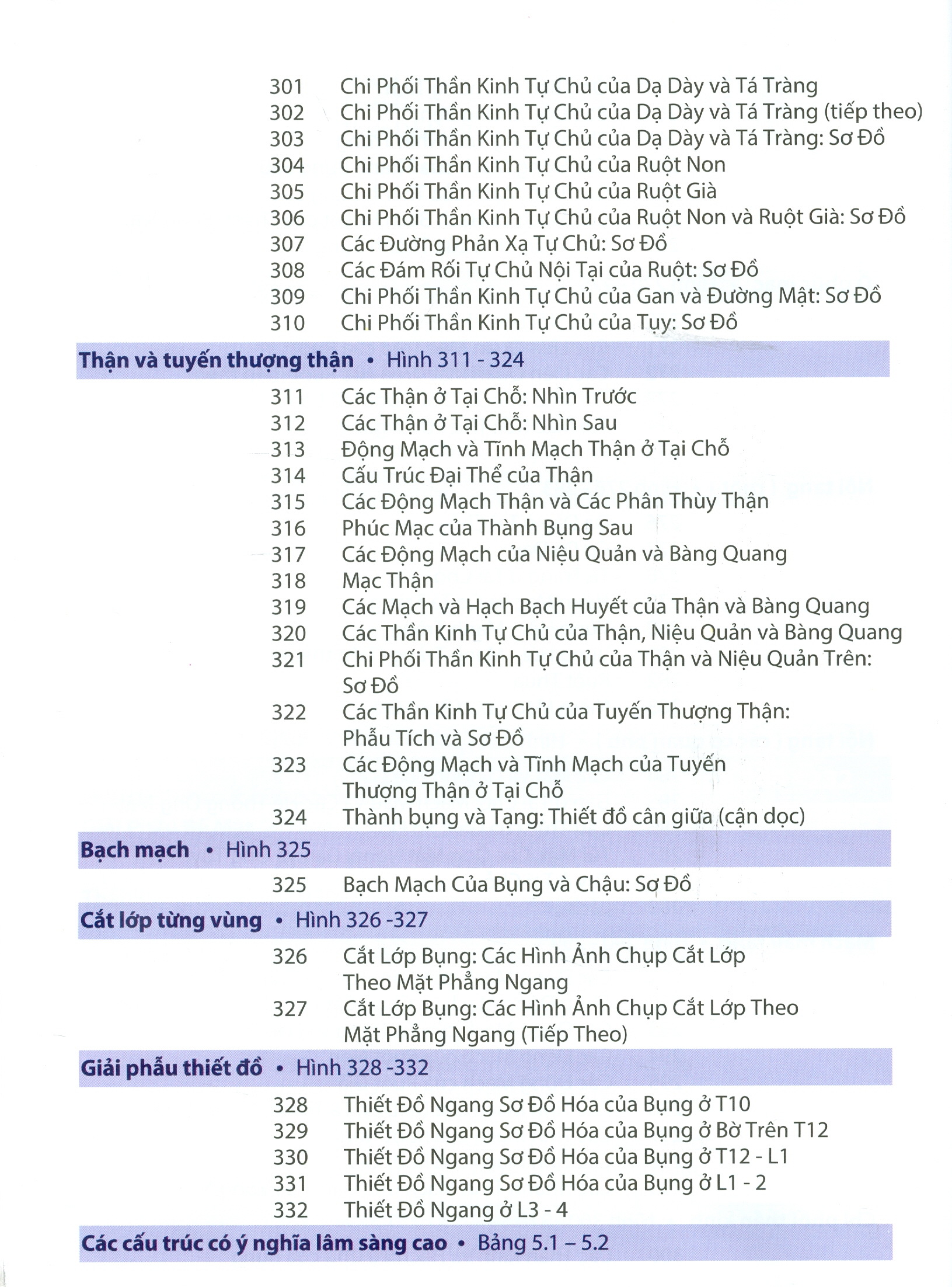 ATLAS GIẢI PHẪU NGƯỜI - In Lần Thứ IV (năm 2022) Theo Ấn Phẩm Lần Thứ VII Của Nxb Elsevier Có Sửa Chữa Và Bổ Sung (ATLAS OF HUMAN ANATOMY  Seventh Edition)