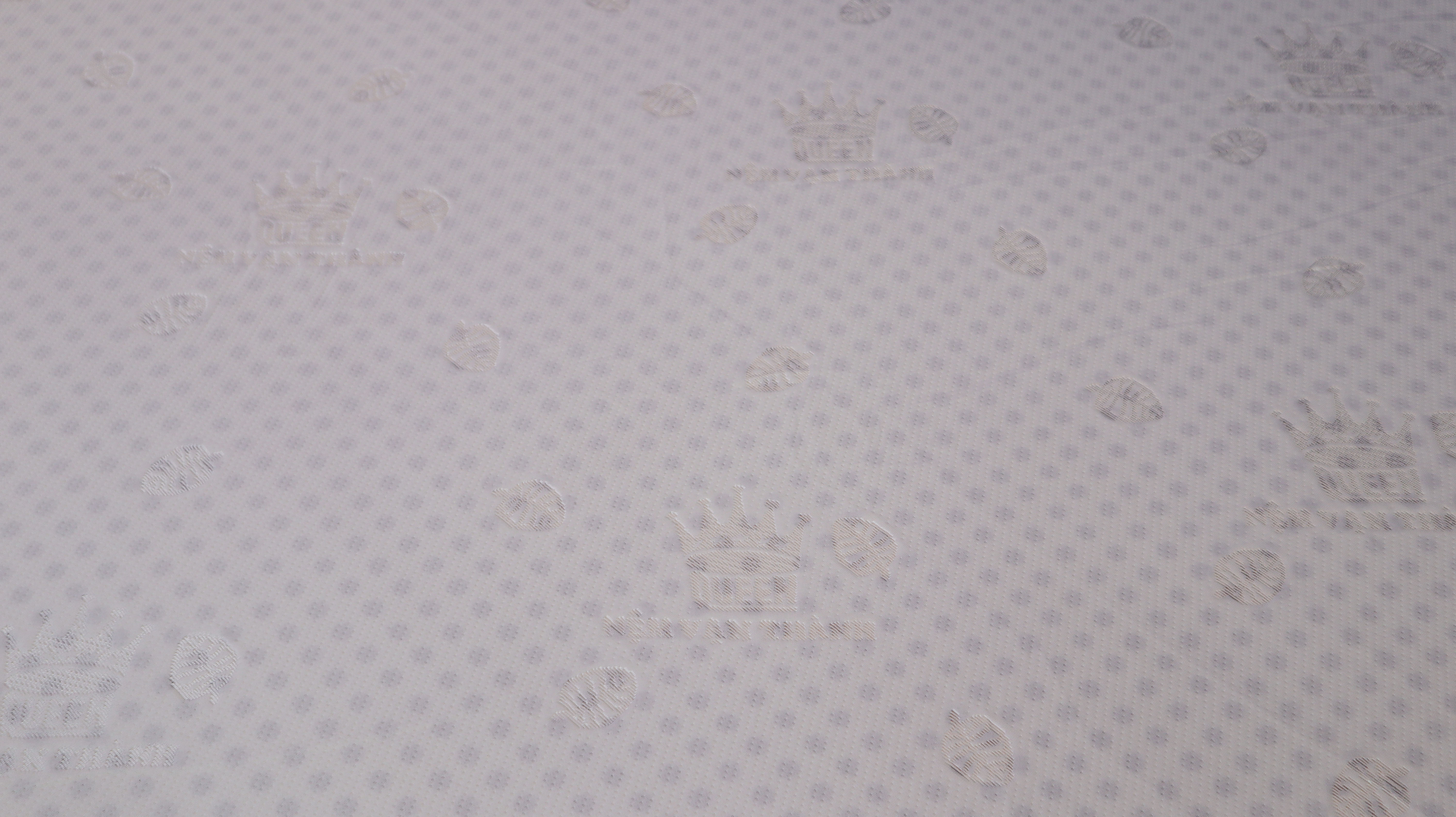 Nệm Cao Su Vạn Thành Standard VTCS125 (120 x 200 x 5 cm)