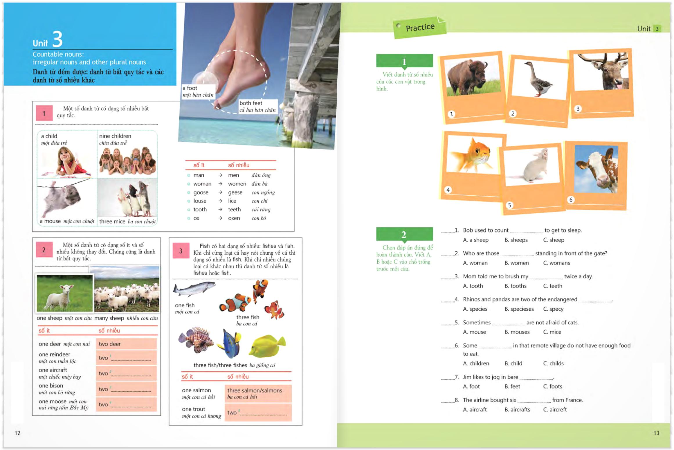 Ngữ Pháp Tiếng Anh – Trình Độ Sơ Cấp (Tập 1)
