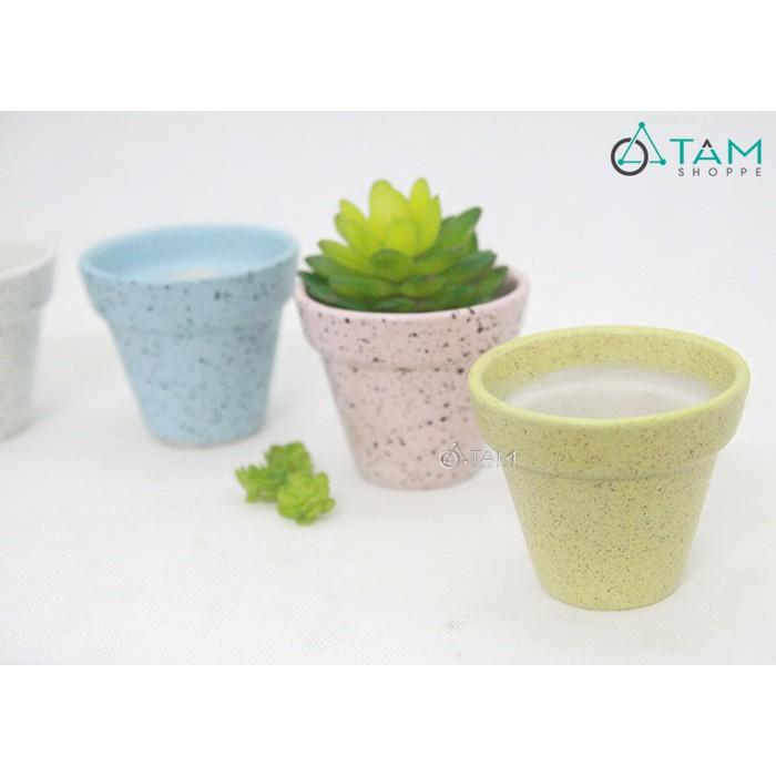Chậu gốm mini trồng cây để bàn số 61