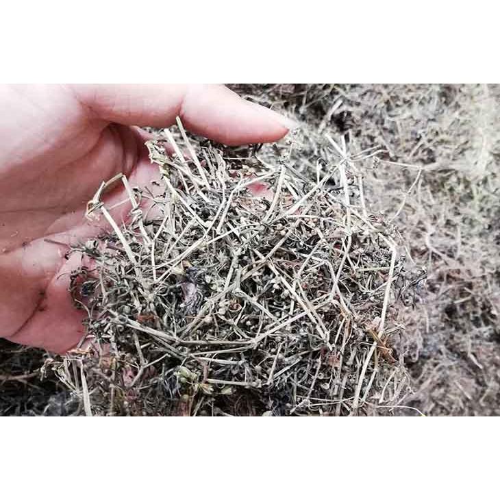 1kg cây hoa bạch đồng nữ khô sạch - hàng nhà làm, thu hái tự nhiên