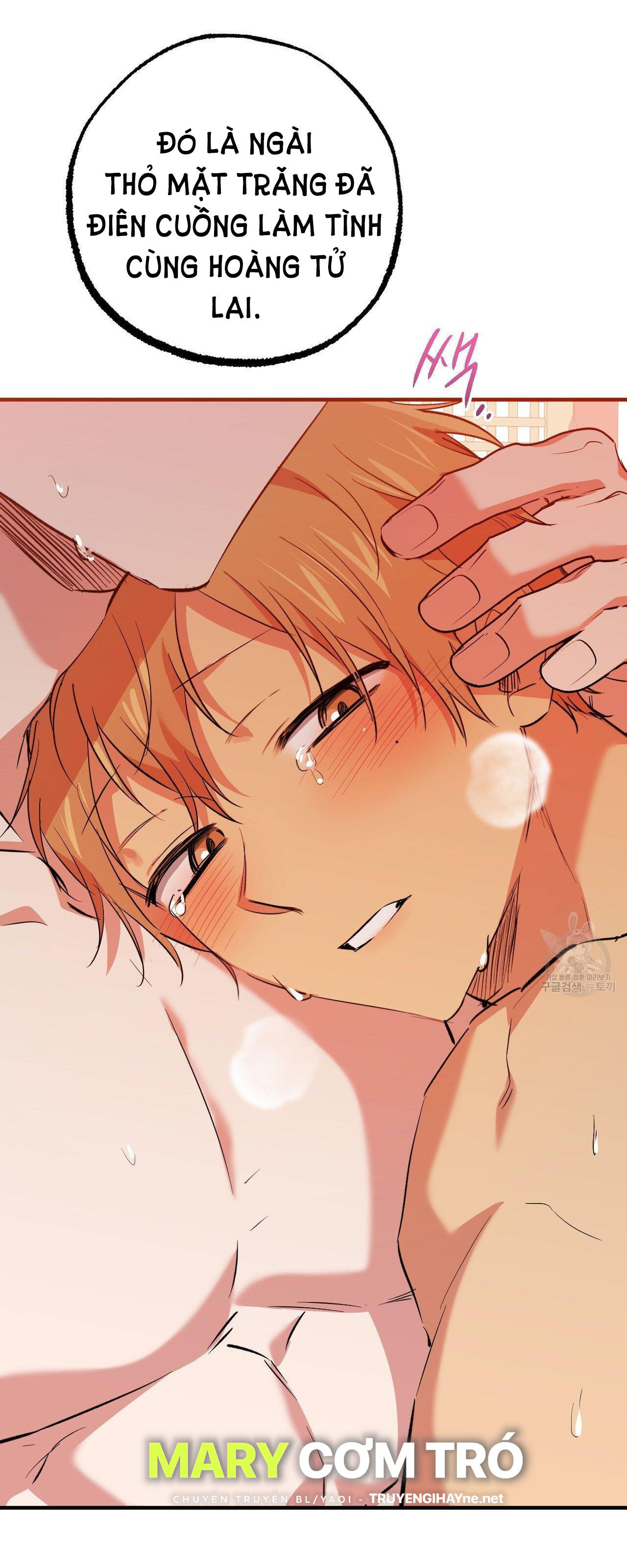 những chú thỏ của hapypy chapter 63.2 48