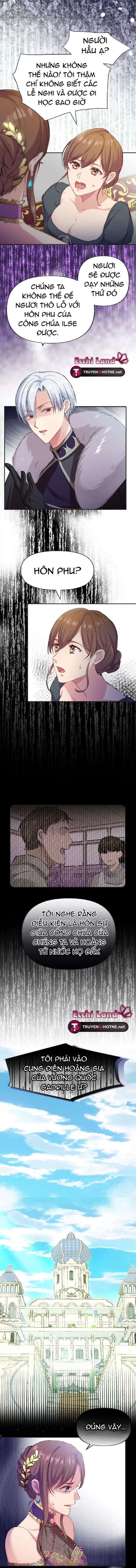 cô dâu lừa dối và chàng sư tử hung dữ chapter 2.2 4