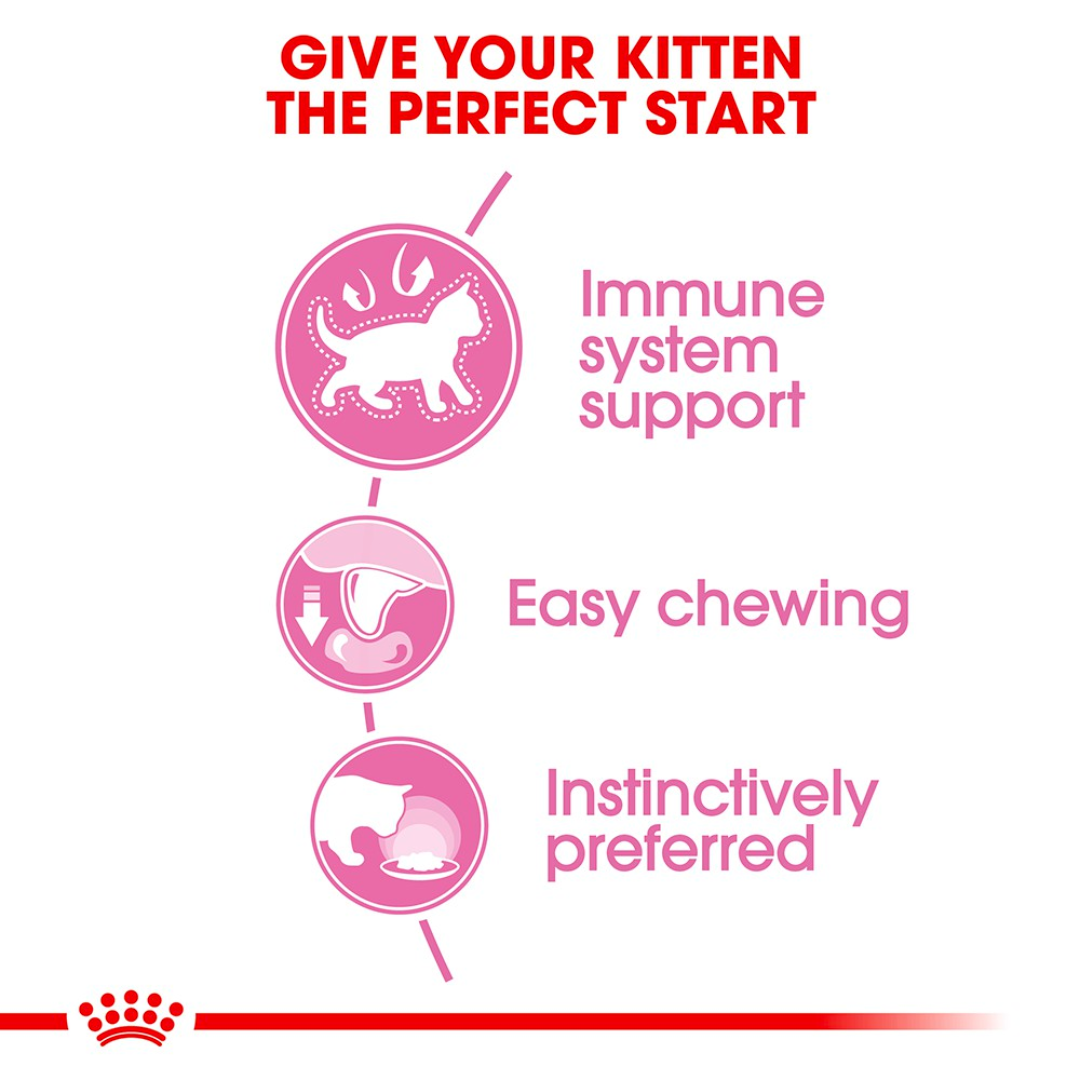 Pate Thức Ăn Ướt Royal Canin Kitten Cho Mèo Con - Gói 85G