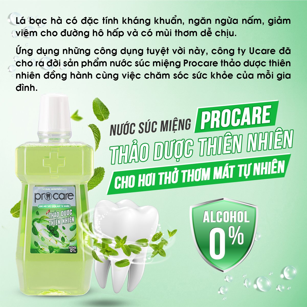 Nước súc miệng Procare thảo dược thiên nhiên (500ml)