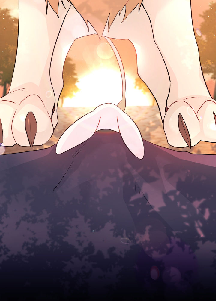 mối liên kết giữa báo đen và bé thỏ chapter 33 61