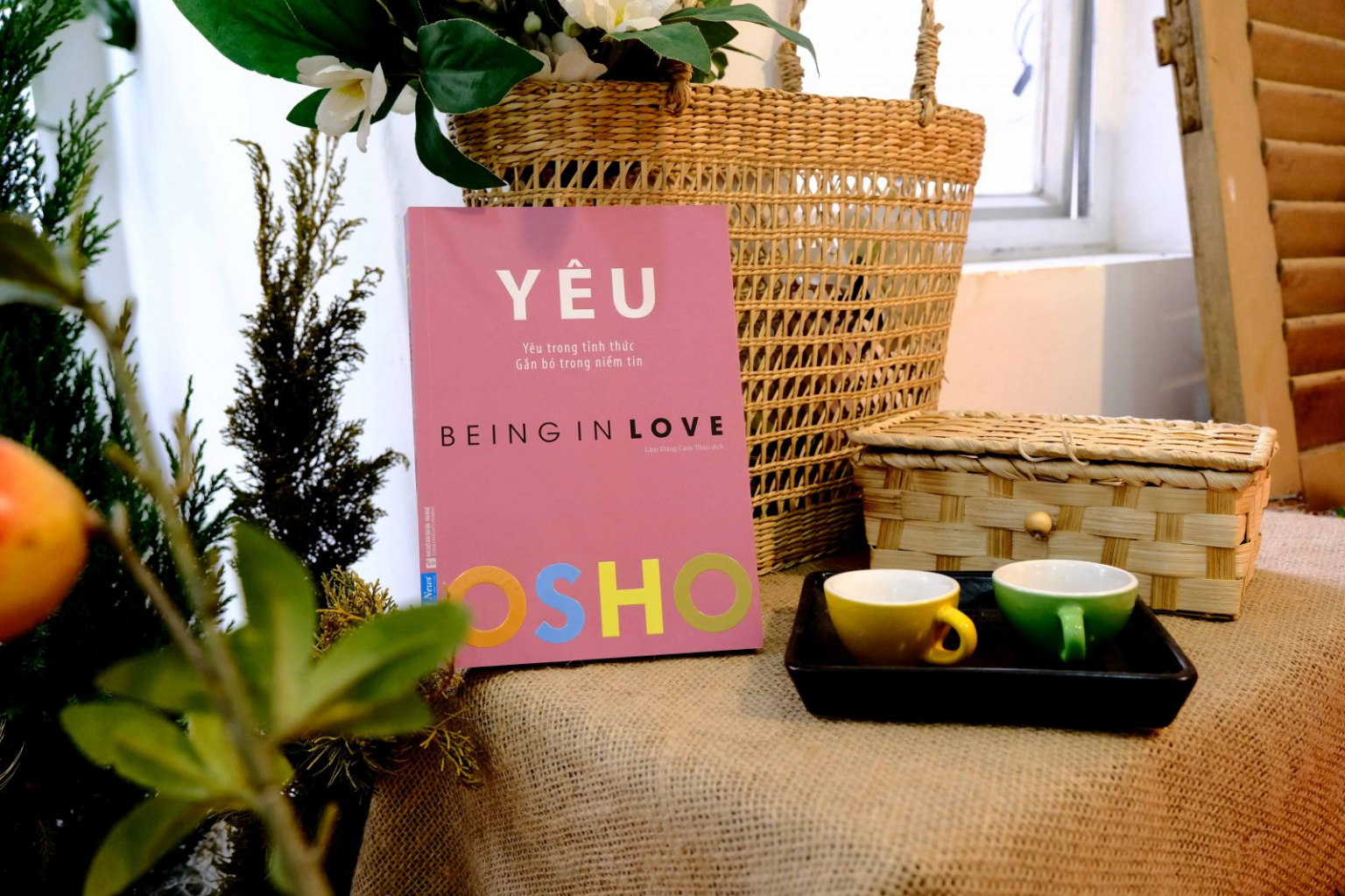 Combo Chẳng lẽ ở vậy thiệt sao + OSHO Yêu