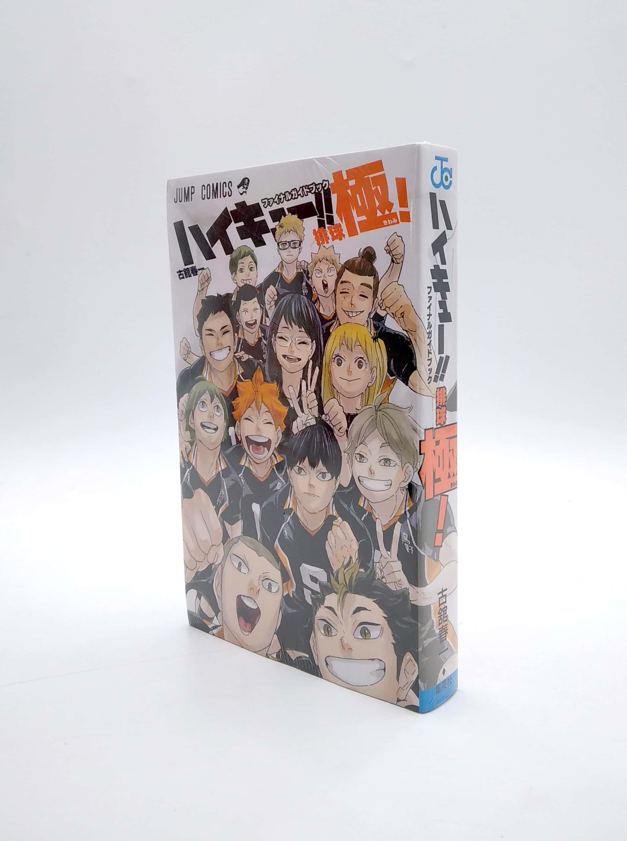 Haikyu!! Final Guide Book (Japanese Edition)