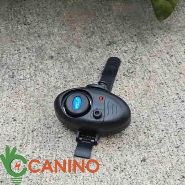 Báo động cá cắn câu v2