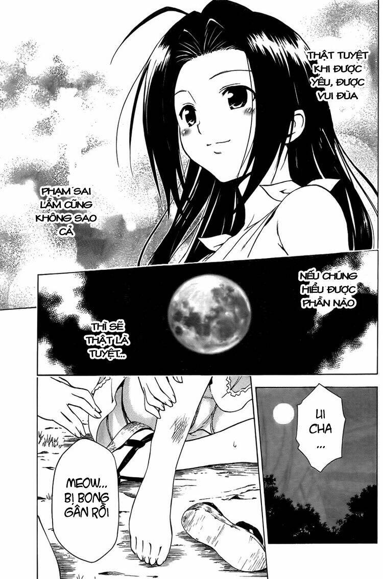 mayoi neko overrun! chapter 5.5 13