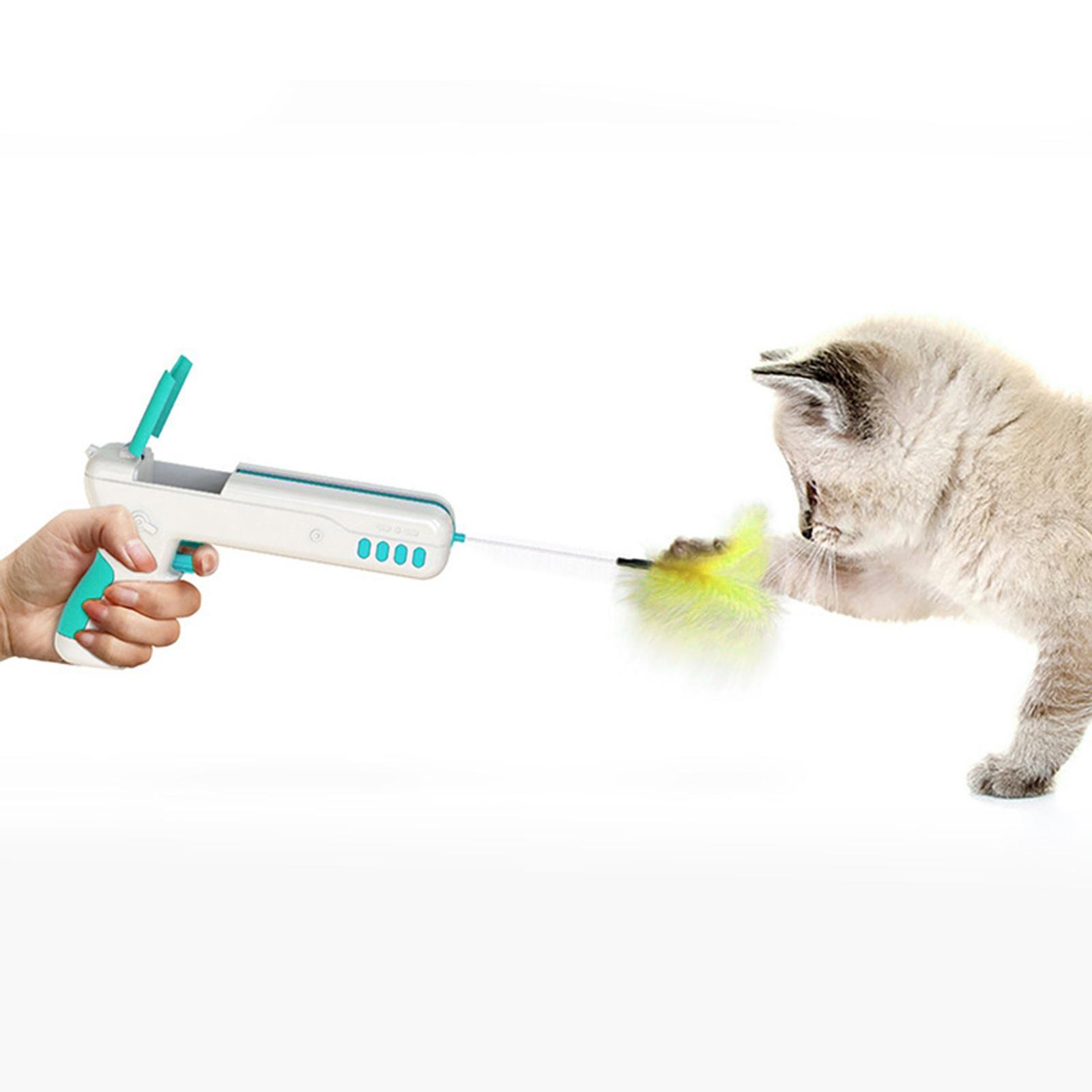 cat fetch toy