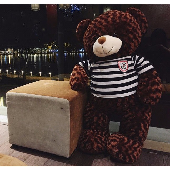 Gấu bông Teddy Cao Cấp siêu mềm mịn màu Nâu Socola 100cm