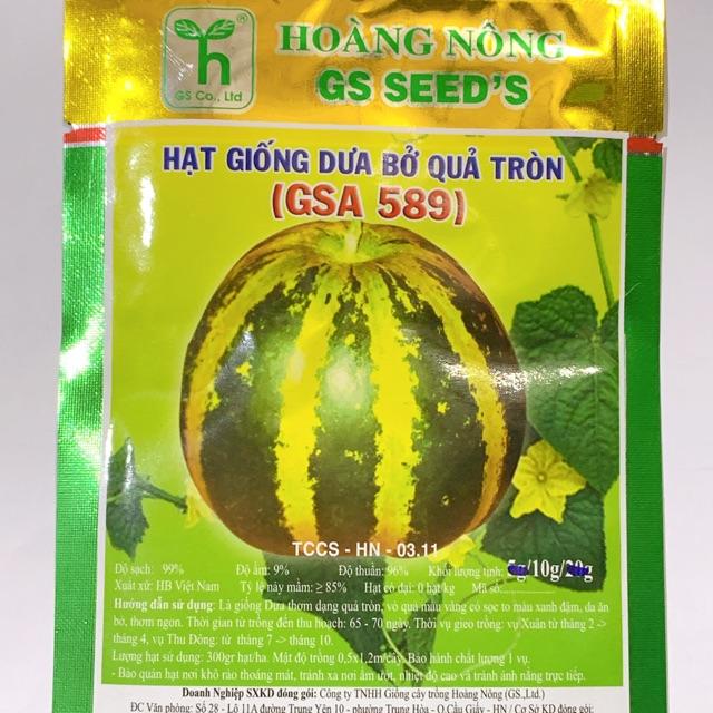 HẠT GIỐNG DƯA BỞ GS589 - gói 10gr