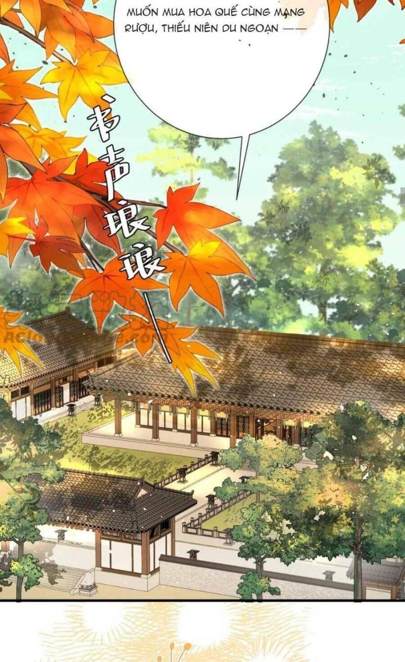 phương thức sinh tồn của công chúa pháo hôi chapter 124 32