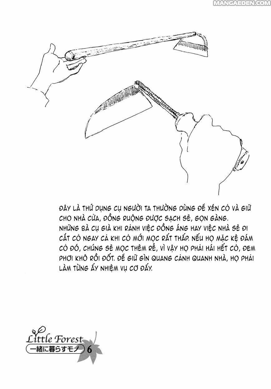 little forest chapter 22 10