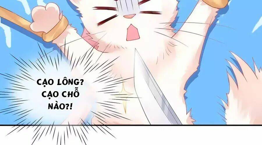 dưỡng thú vi phi chapter 3 14