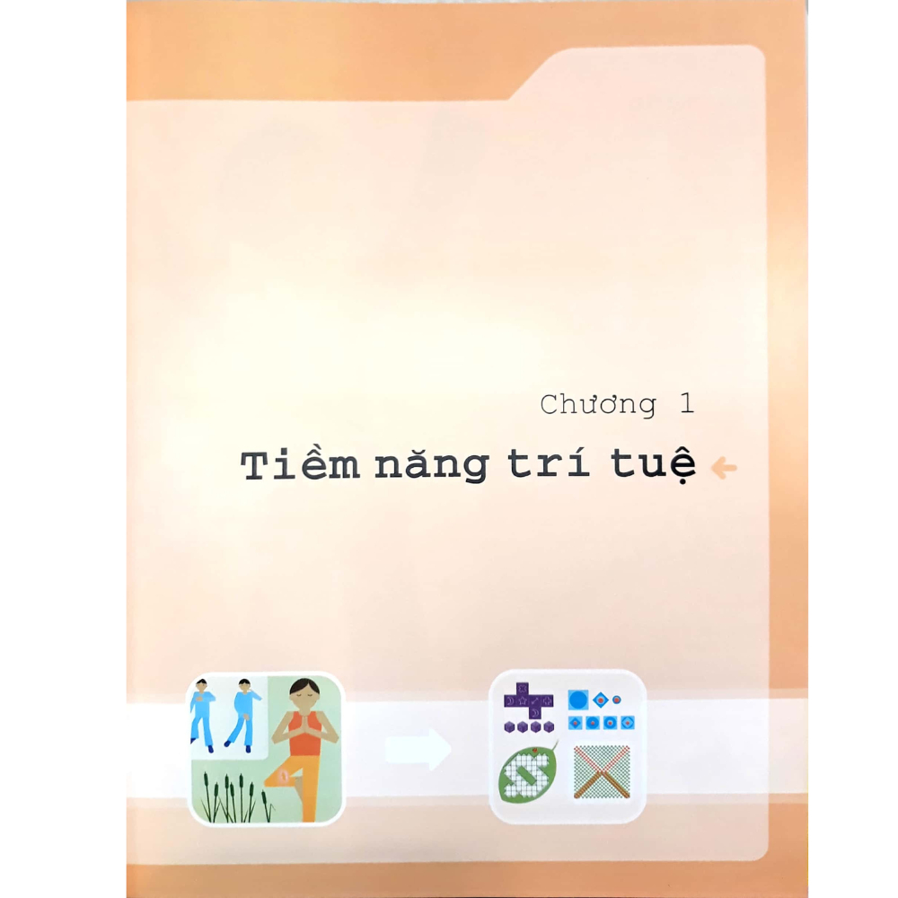 Tối Ưu Hóa Trí Thông Minh