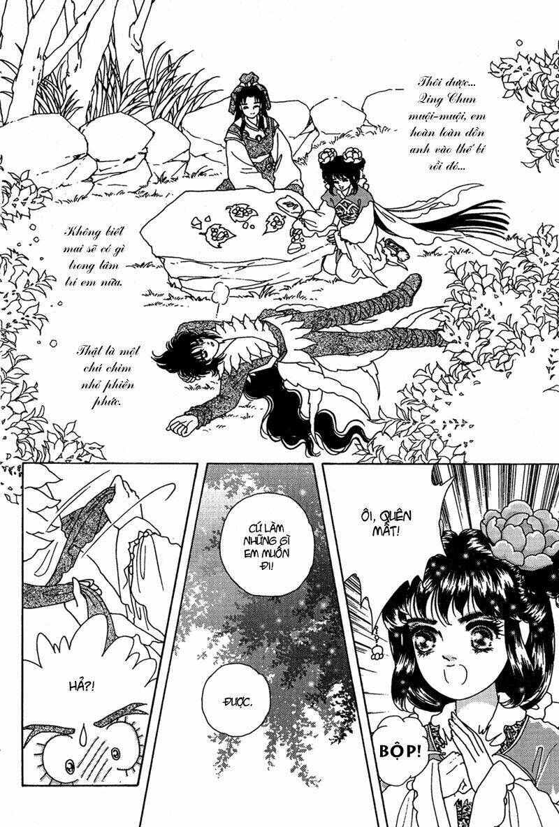 bird of youth chapter 6 42