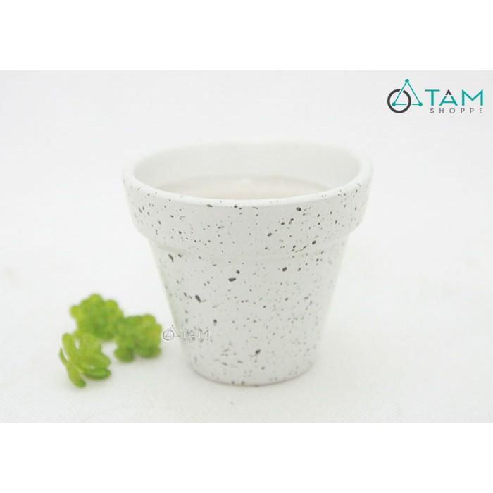 Chậu gốm mini trồng cây để bàn số 61