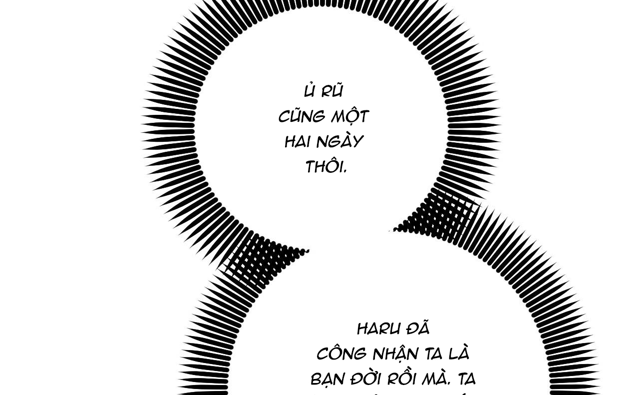 đàn thỏ của habibi chapter 46 255