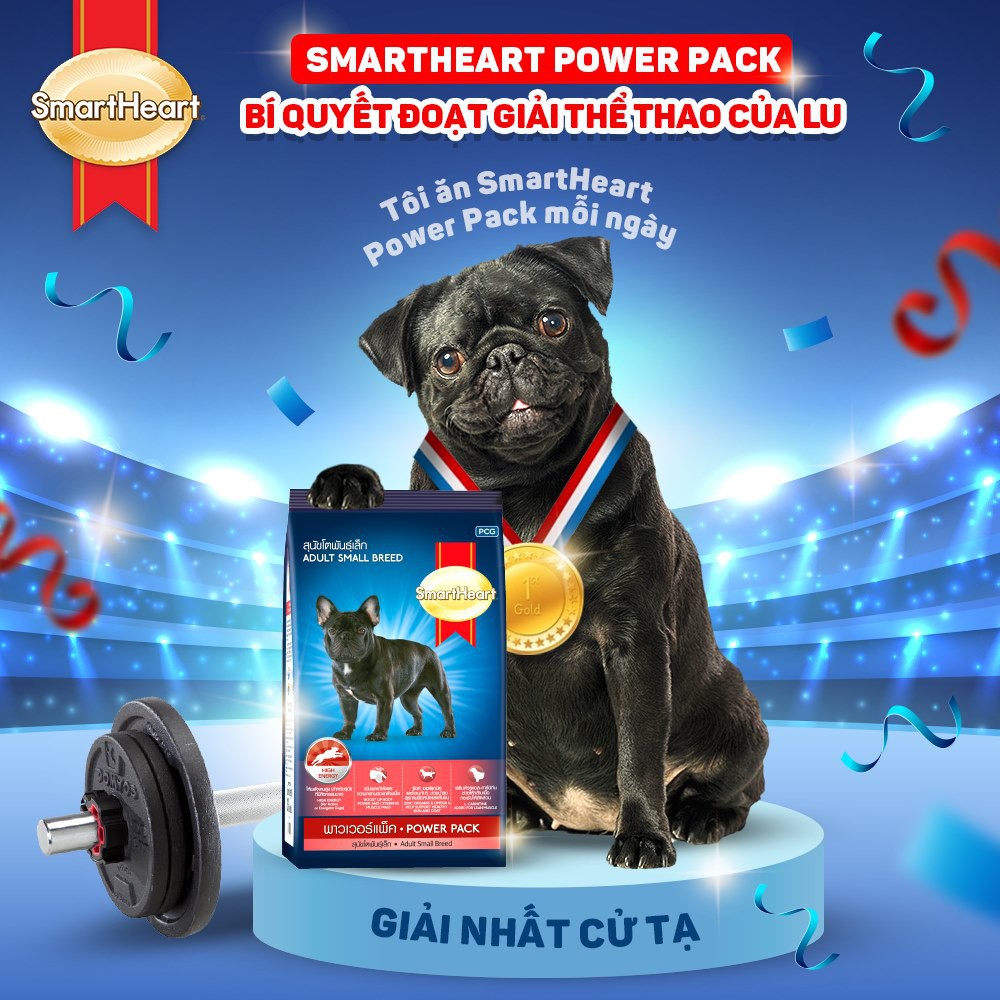 Thức ăn hạt khô cho chó trưởng thành SmartHead Powerpack Adult gói 3kg