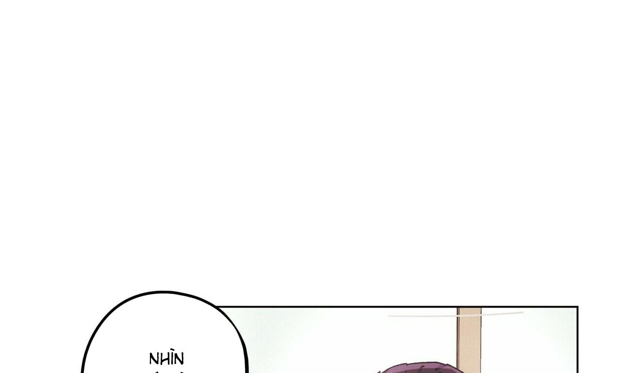 chàng dâu nhà họ kang chapter 27 89