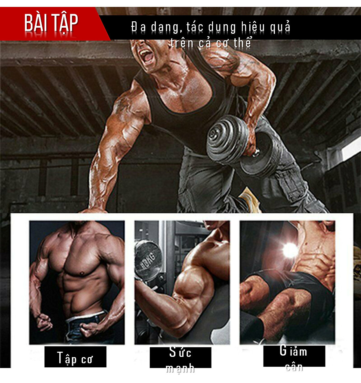 Ghế Tập Tạ Đa Năng 4in 1- Thương Hiệu SKYPIEA - Ghế Tập Gym - Tặng Dụng Cụ Chống Đẩy