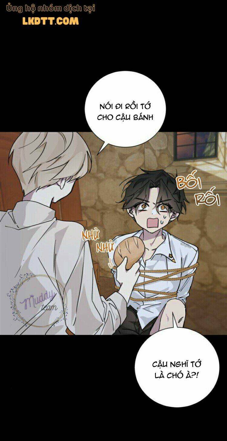 ta đã từng mong nàng biến mất chapter 15 38