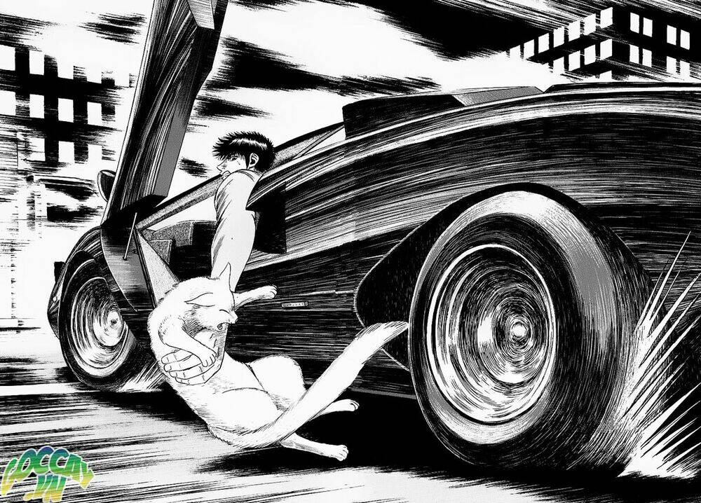 countach chapter 16.5 25