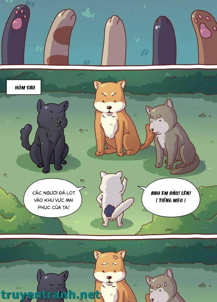 cây nấm kì khả chapter 8 9