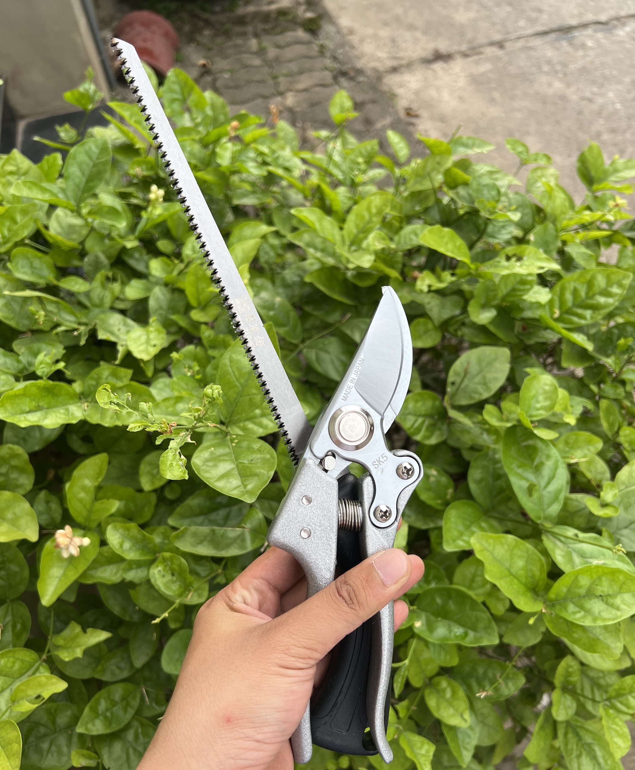 Combo Kéo Cắt Cành SK5 Nhật Bản + Cưa Lách Lưỡi Bén ,Dụng Cụ Bonsai, Đồ Dùng Làm Vườn