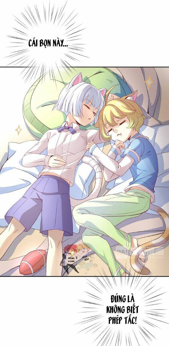 miêu trảo chi hạ chapter 1 42