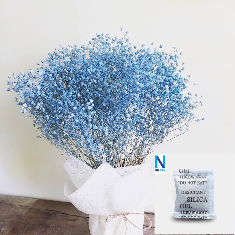 Gói 1000 Gram Hạt chống ẩm, hạt hút ẩm chỉ thị màu hút ẩm Máy ảnh linh kiện điện tử Phòng Ngủ Quần áo Giày dép