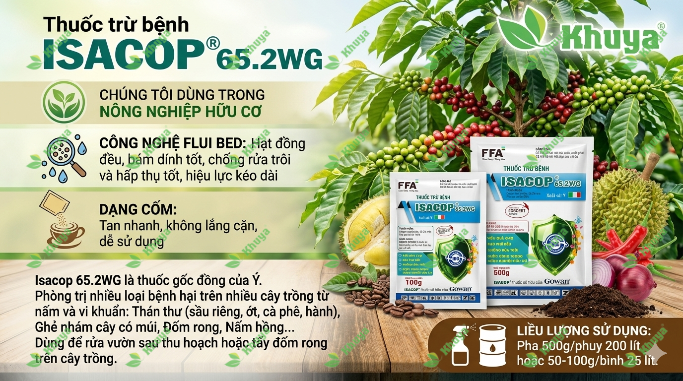 Thuốc trừ bệnh ISACOP 65.2WG chuyên trị Thán Thư