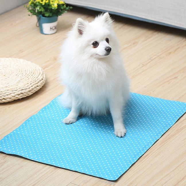 Thảm Gel Làm Mát Cho Thú Cưng
