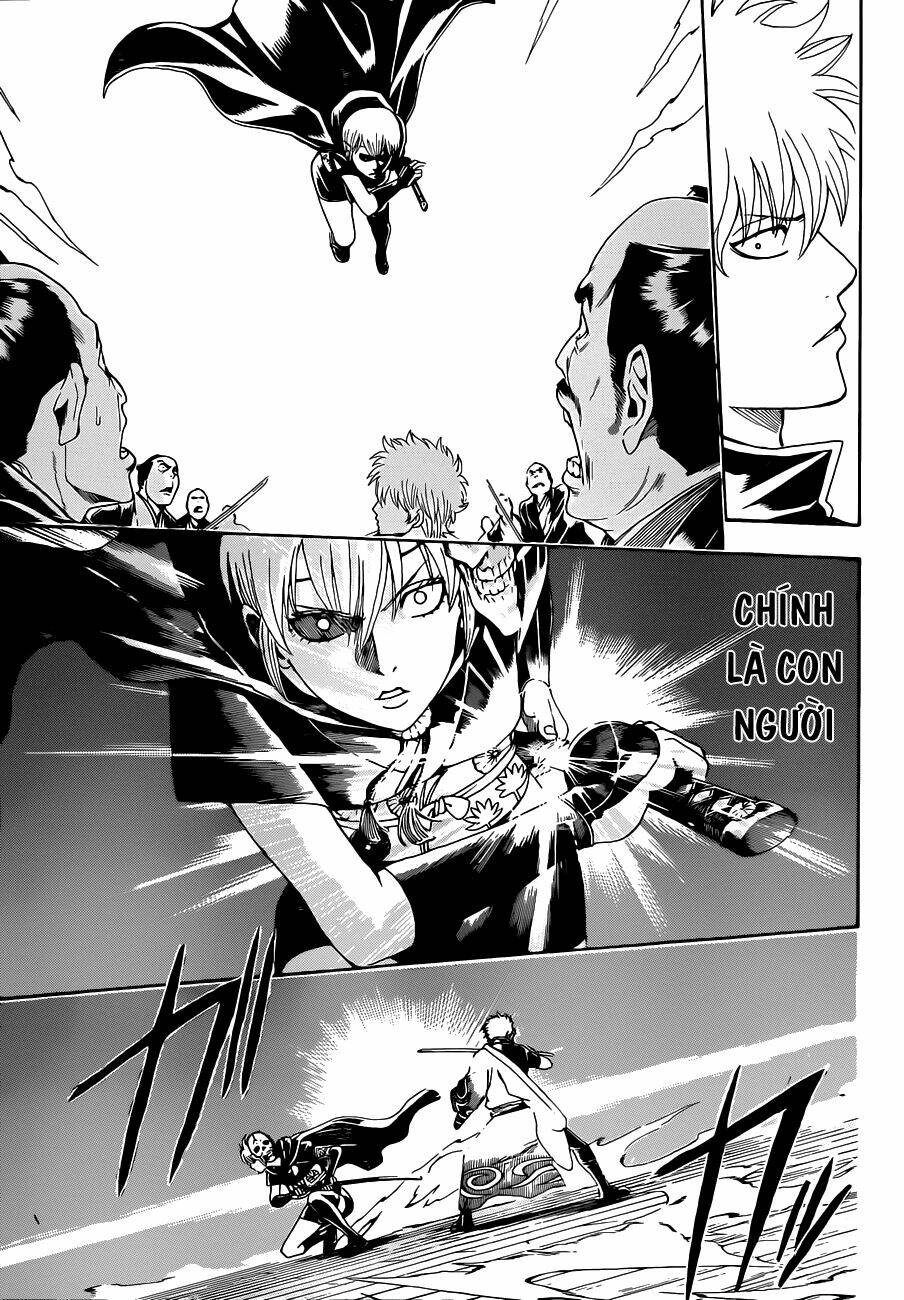 gintama - linh hồn bạc chapter 466 14