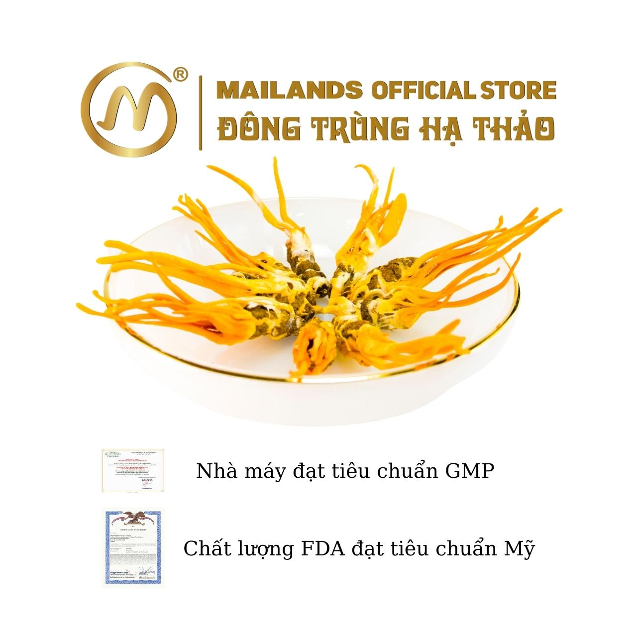 Đông Trùng Hạ Thảo Cordyceps KING