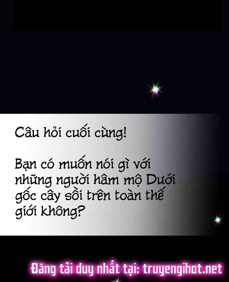 Dưới Bóng Cây Sồi Interview 38