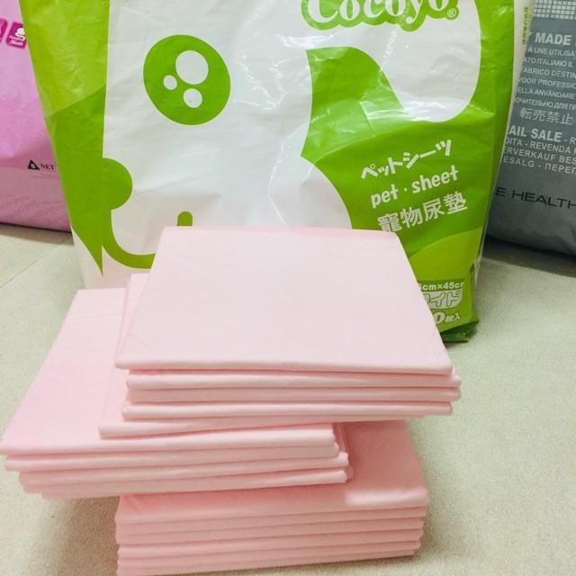 Tấm Lót Vệ Sinh Cocoyo Cho Chó Mèo