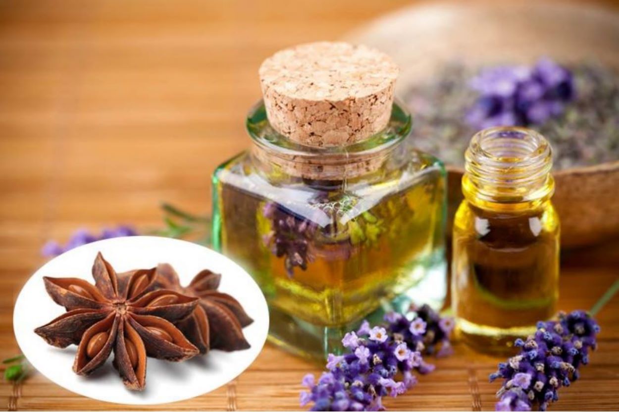Tinh Dầu Hồi Nguyên Chất Bảo Ngân Chai 10 Ml Có Kiểm Định Chất Lượng - Xoa Bóp Giảm Đau, Hỗ Trợ Cảm, Tiêu Hóa, Xông Phòng Diệt Khuẩn, Đuổi Côn Trùng, Massage, Để Tủ Quần Áo,...